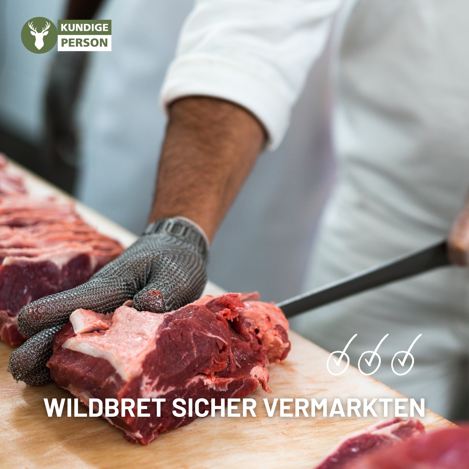 Lehrgang Kundige Person Online